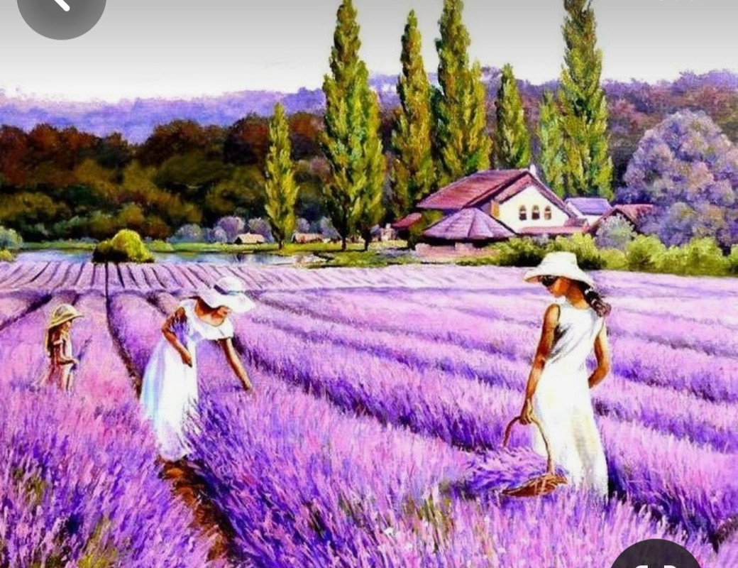 Screenshot_20240411_204516_Pinterest