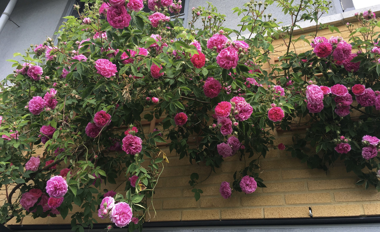 36F40A36-C55B-4FCB-B744-F6DF90728721