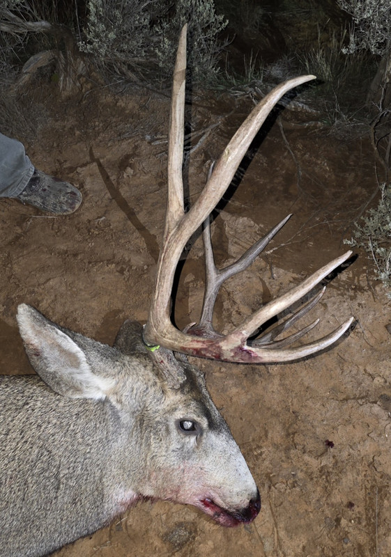 Screenshot 20260322 174028 Gallery