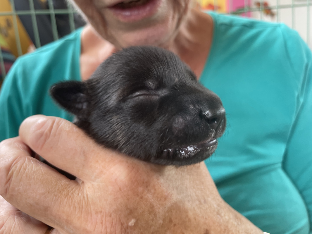 4442FE07-06FD-42A5-93D1-A57733405363