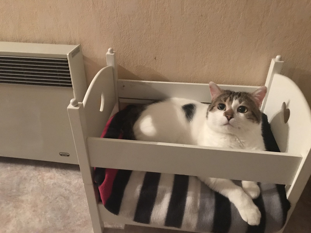 E446B0CB-298F-45F9-91EF-CFD5ACF1B694