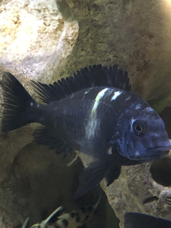 0C1E8941-5761-4C04-BA86-C7374A8DF672