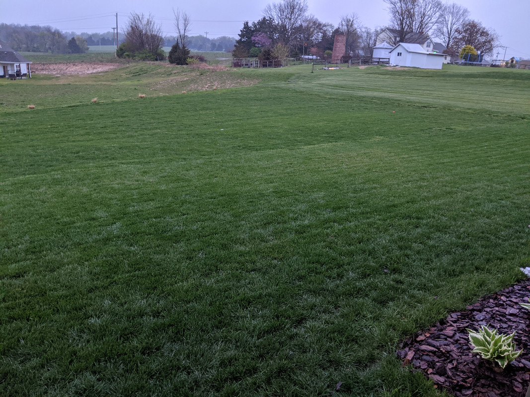 PXL_20210417_112143448