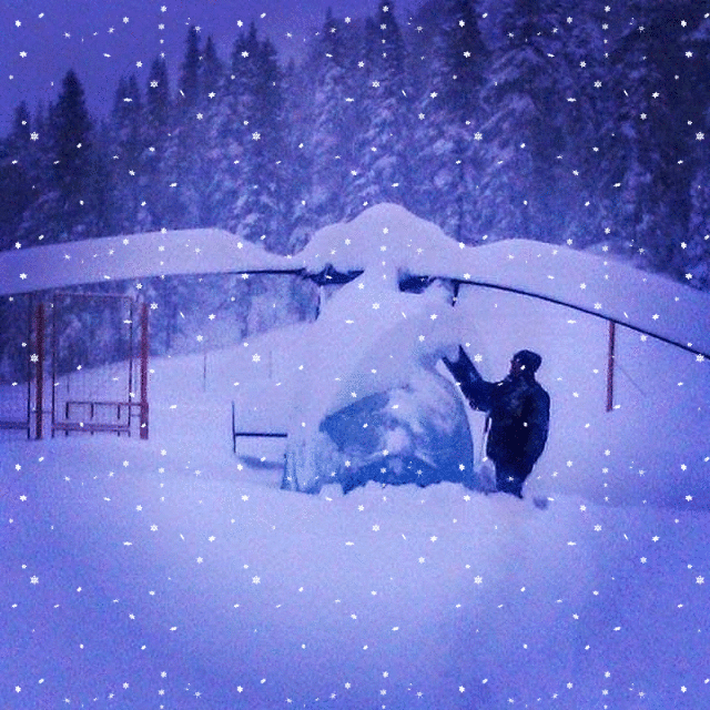 Serbian Gazelle in Snow (Snow Effect)