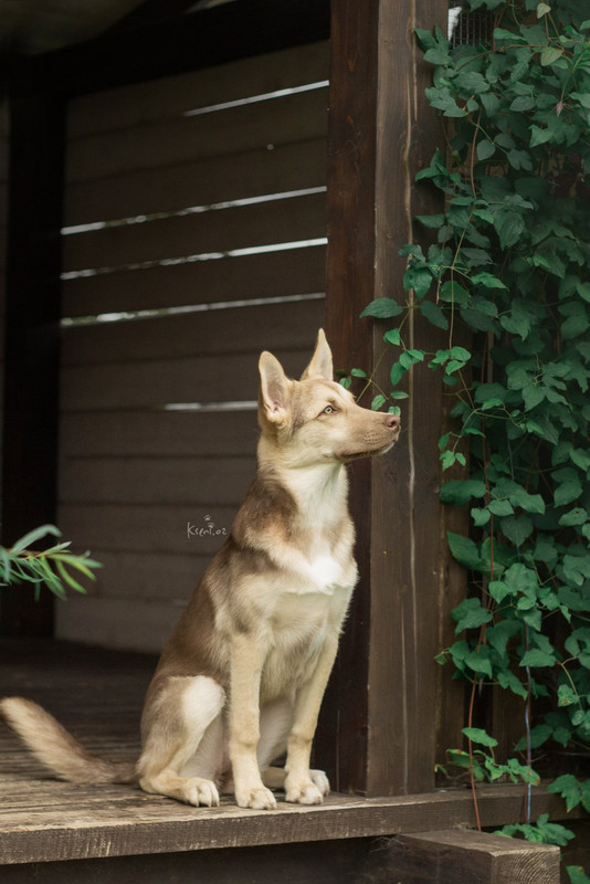 изображение_viber_2021-08-21_16-06-56-239