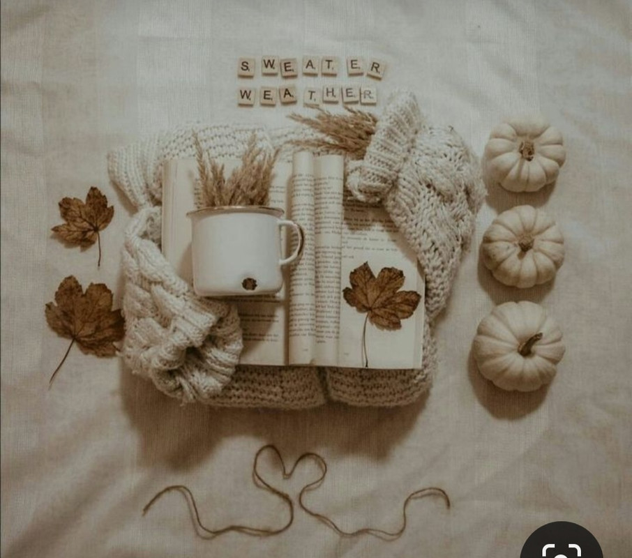 Screenshot_20230911_221852_Pinterest