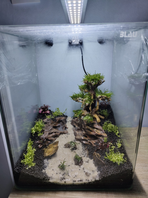 IMG_20250111_102946874