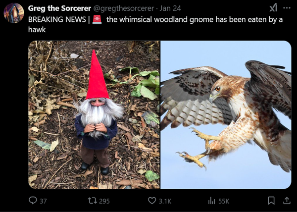23103932-NAw-Hbho-T.png