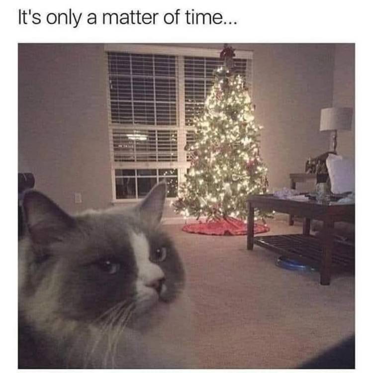 AB2DA264-A3D2-4AE8-842E-F5E9B9AC8961