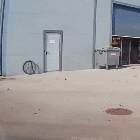 https://i.postimg.cc/WbgrKjnQ/video-2026-09-02-02-19-15-(1).gif