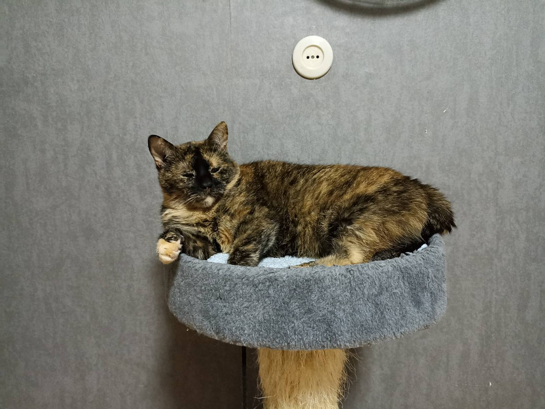 изображение_viber_2022-07-28_11-24-02-118