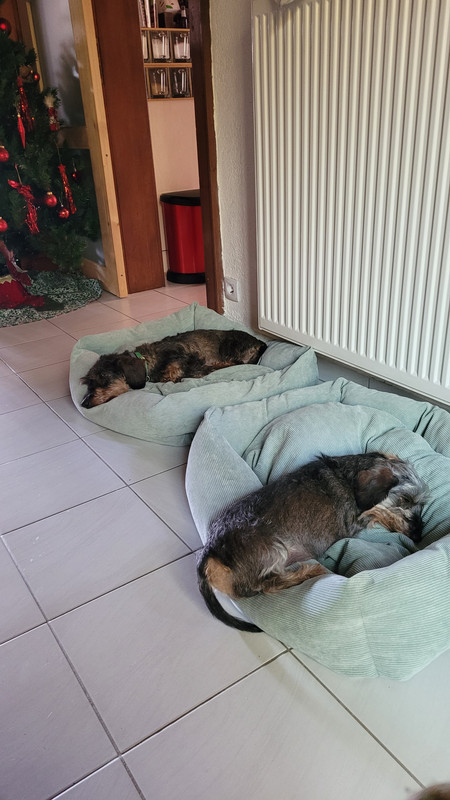 [Image: 20221212-135336.jpg]