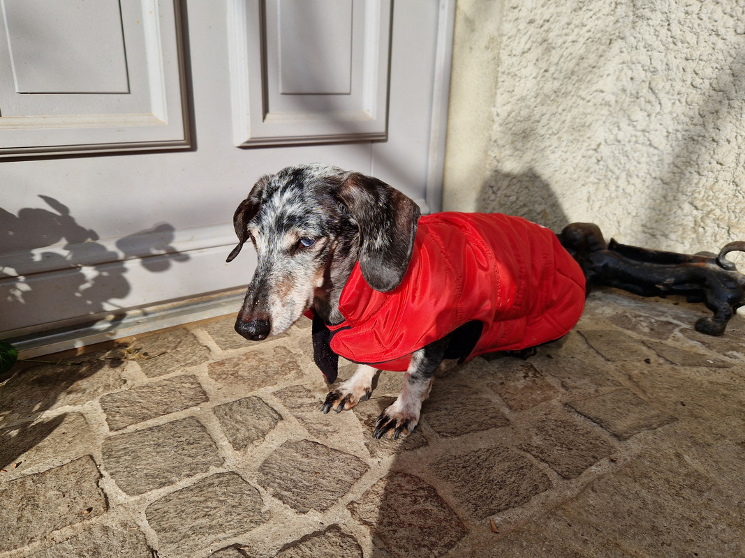 [Image: 20230120-131408.jpg]