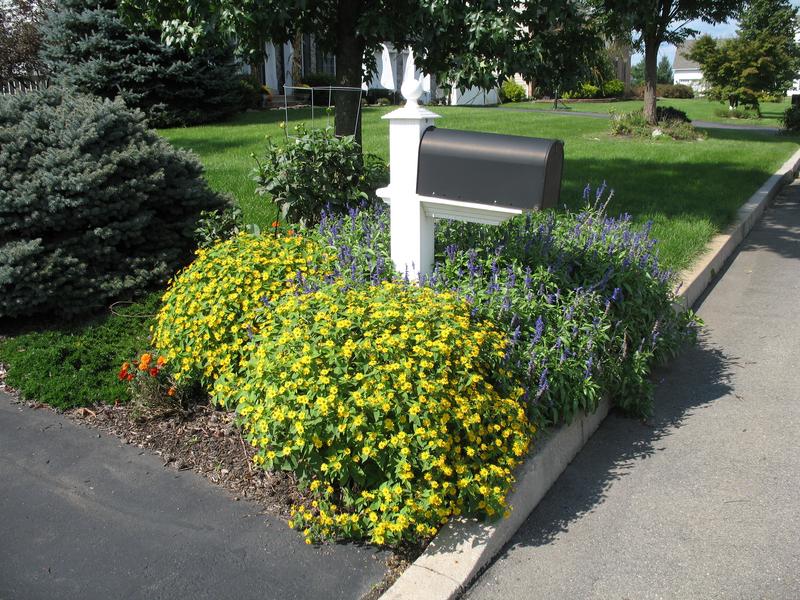 Lawn and Gardens 09.29.2018  (22)