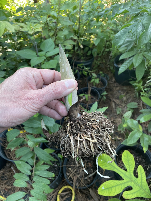 2D73E91A-CE76-4D79-90E6-BF40EF7CE100