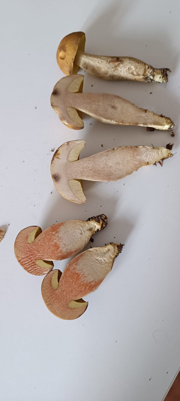 WhatsApp Image 2023-08-06 at 16.43.52 (2)