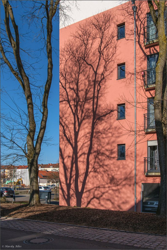 XT5A6433-Verbessert-RR 2025 SB BP LR ERWZ FB