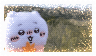Tumblr l 525387699547545