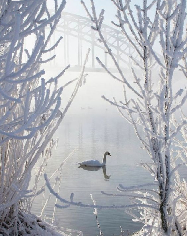 Screenshot_20230217_221617_Chrome