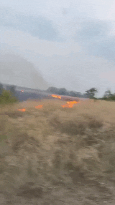 https://i.postimg.cc/WbjH8XnL/video-2026-09-06-00-32-25-(1).gif