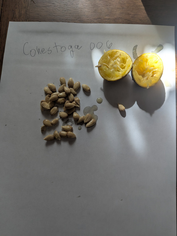 PXL_20251008_184324932