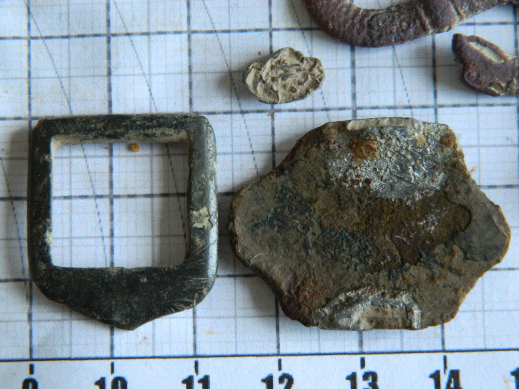 tippakultasormus 022