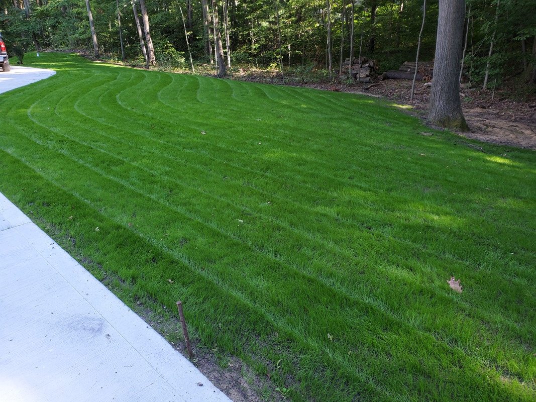 2AB48138-091C-4F9F-A937-EE170D7A8B5E