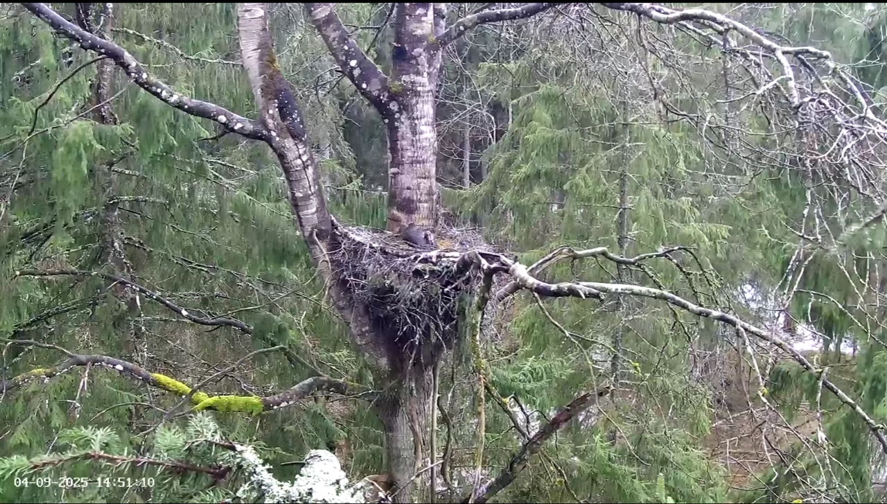 Ekrānuzņēmums 2025-04-10 035250