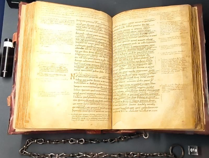 Roma: Villa Farnesina, Bernini&Barberini, Detroit Museum - Roma y Nápoles: Bernini, Giorgione y mucho más. (88)