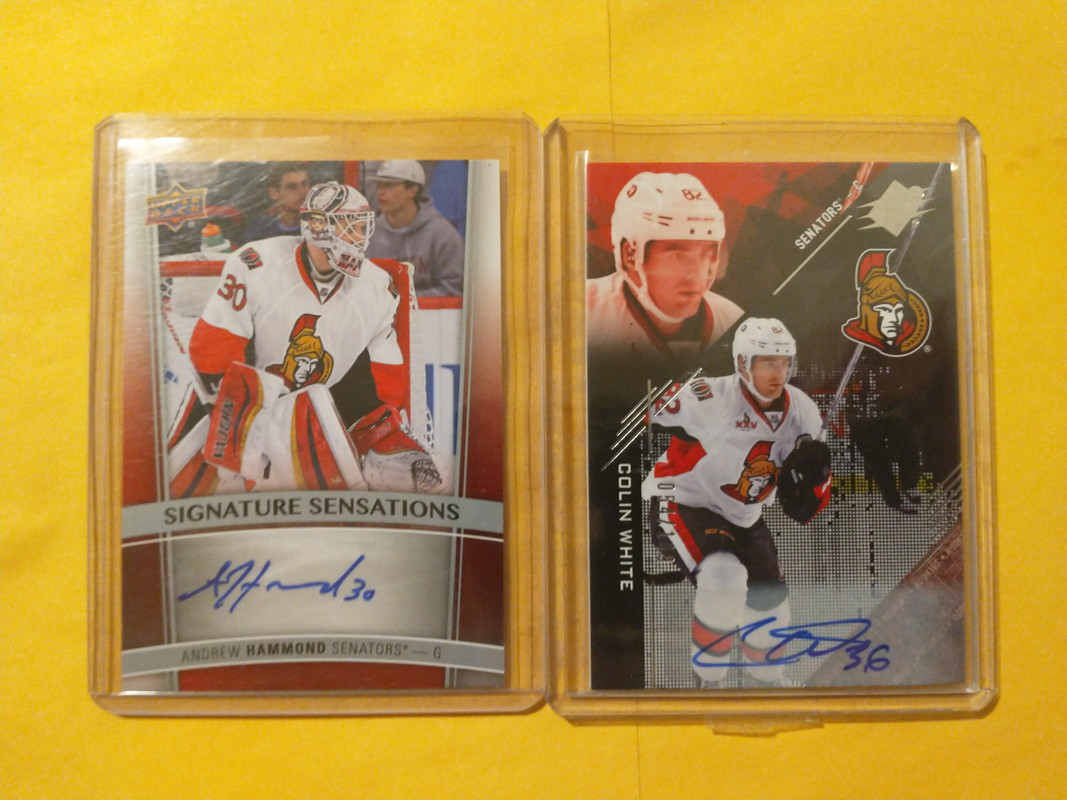 IMG_20250210_223051955_MP