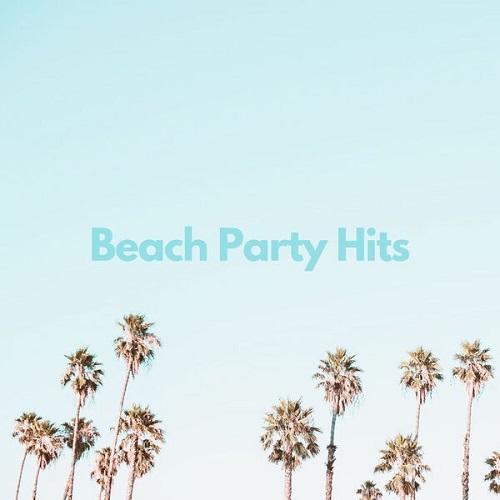 VA - Beach Party Hits (2023) FLAC