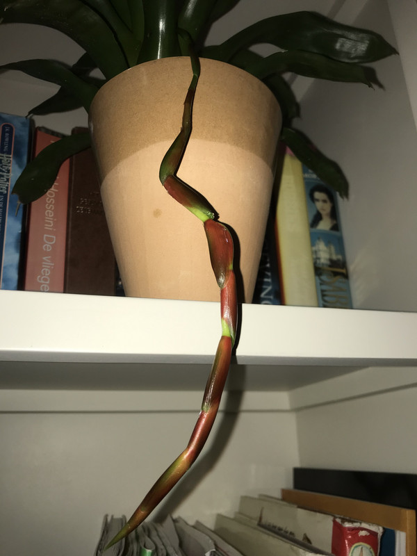 571DFC5D-286E-44C3-AB68-4A0F004CB97E