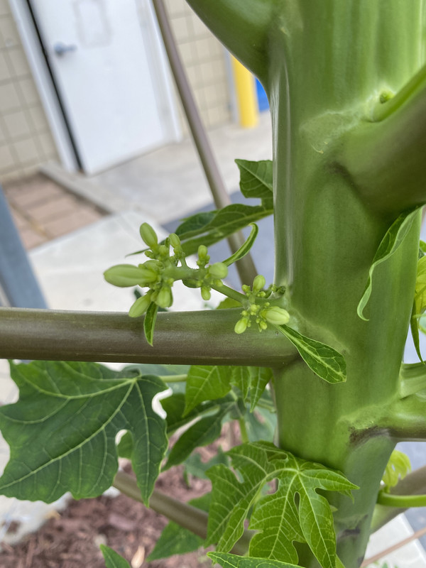 8860C317-6910-4FF9-819C-FC5AC6D72ACF