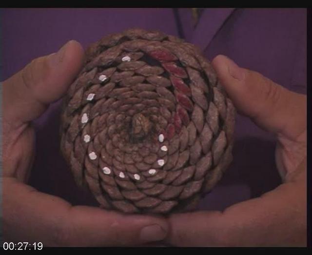 [Image: G-PJain-Mathemagics-The-Living-Mathemati...Nature.jpg]
