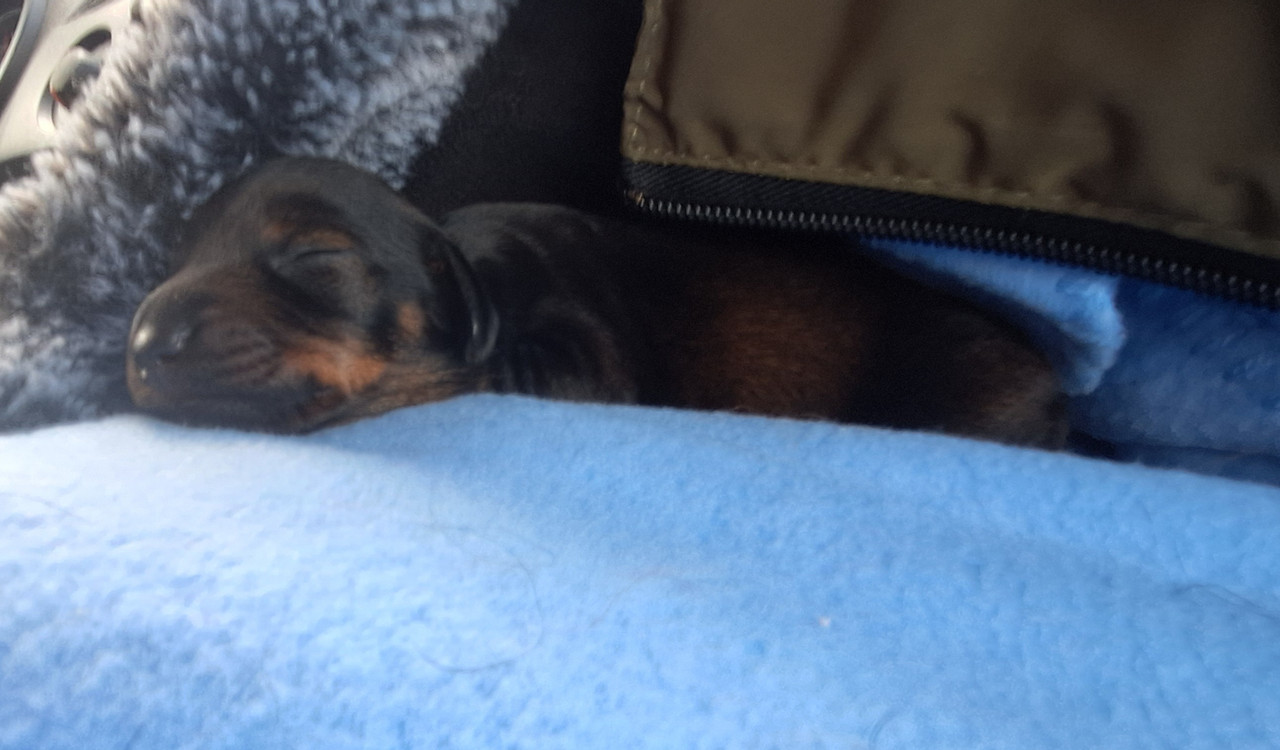 [Image: 20250422-165330.jpg]