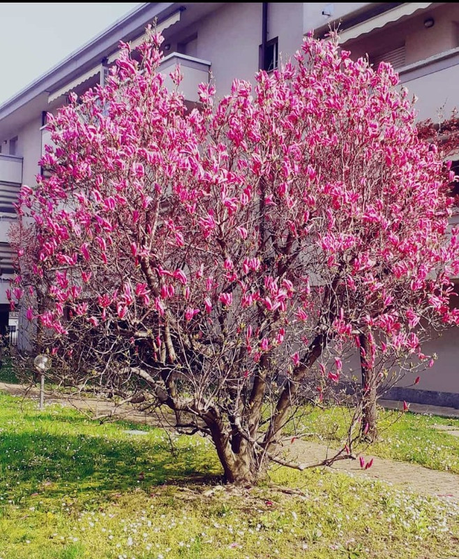 Screenshot_20240321-145052_WhatsApp