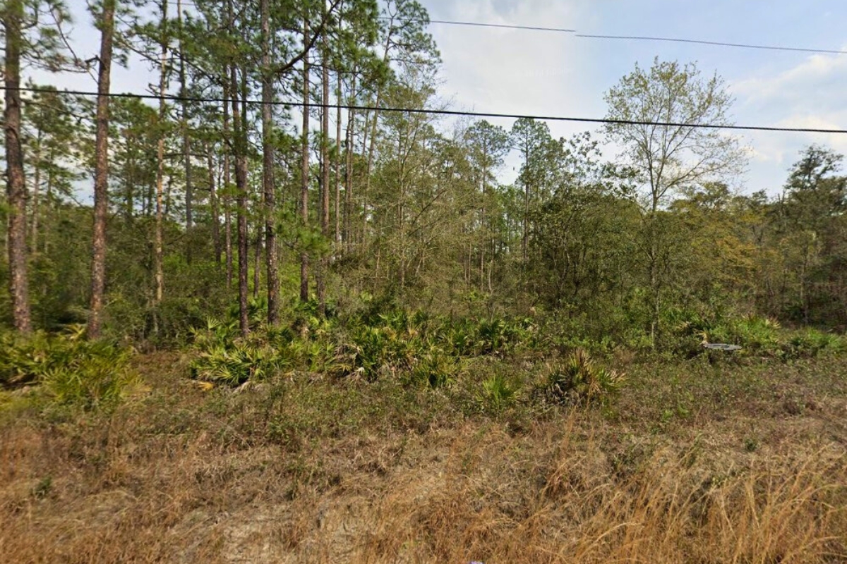 Glamorous Vacant Land Alert: 0.22 Acres in Interlachen Just Waiting for Your Touch at $260/Month!