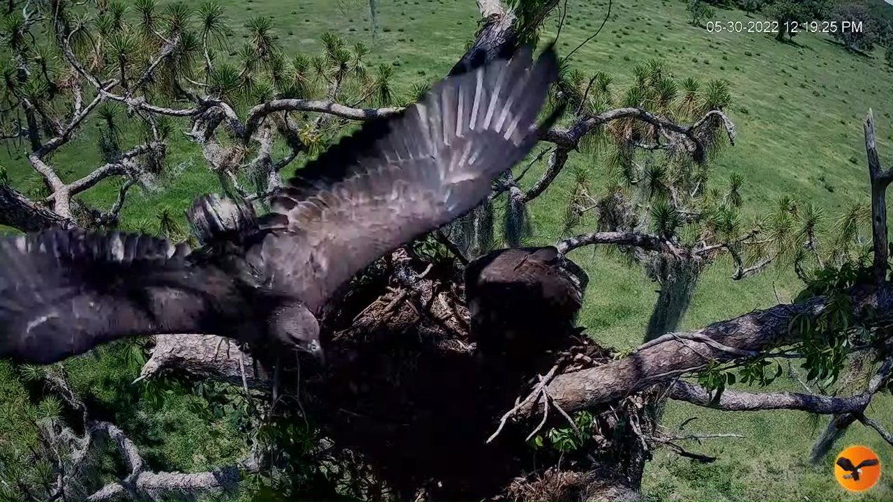 EC 4K Overhead Cam 10-9-47 screenshot