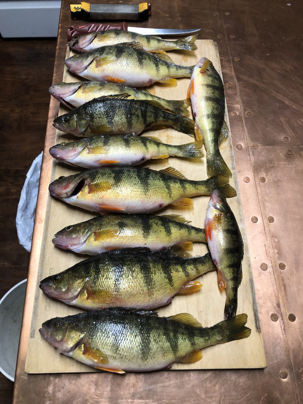 2E99B9A8-06A9-460F-B6F1-A410F4783ED2