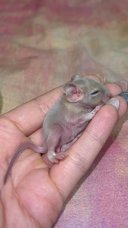 92A9DC8A-2BCA-4272-A36F-DE789681B04F