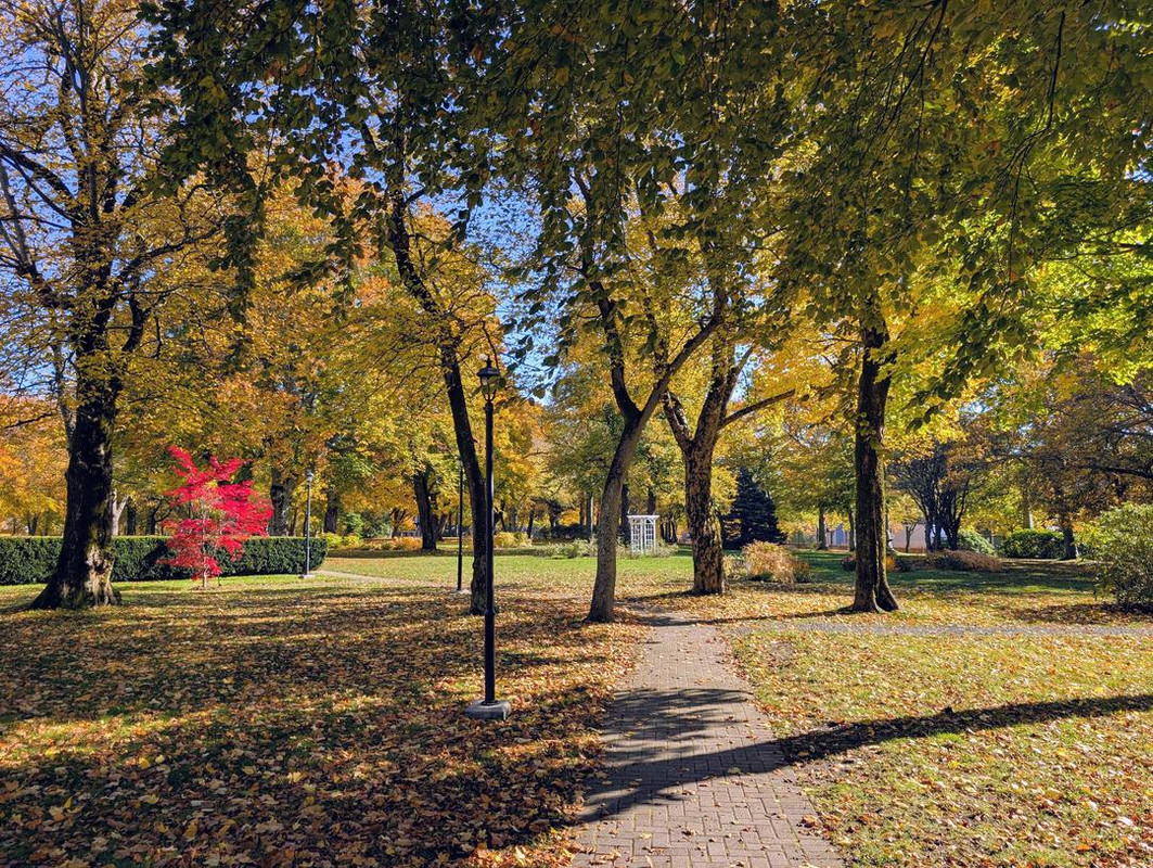 PXL 20251026 143406057 MP 2