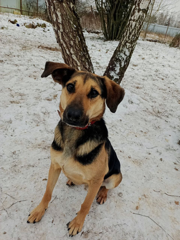 photo_2022-11-19_18-32-05 (2)