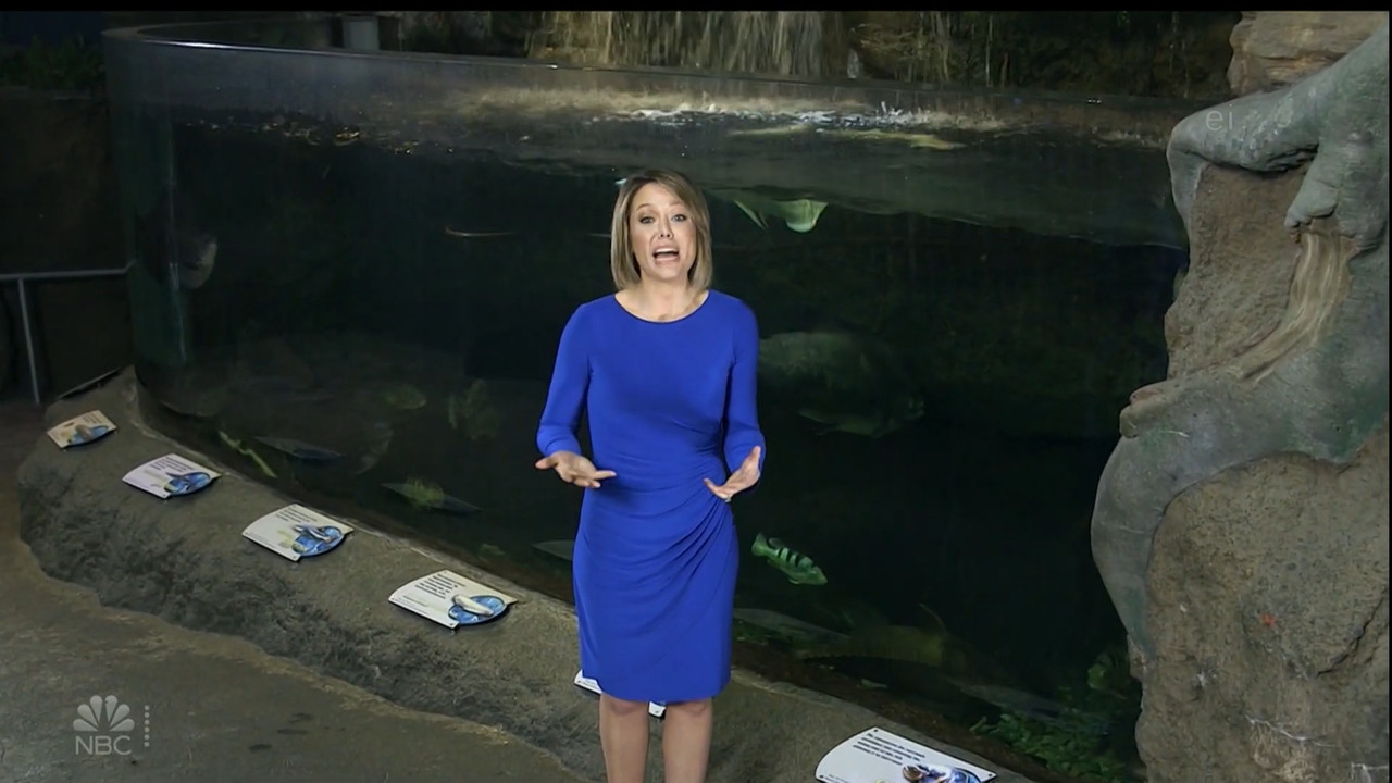 11.07 - 15.00.00 - Earth Odyssey With Dylan Dreyer. The world's smart....ts_snapshot_00.14.49.716