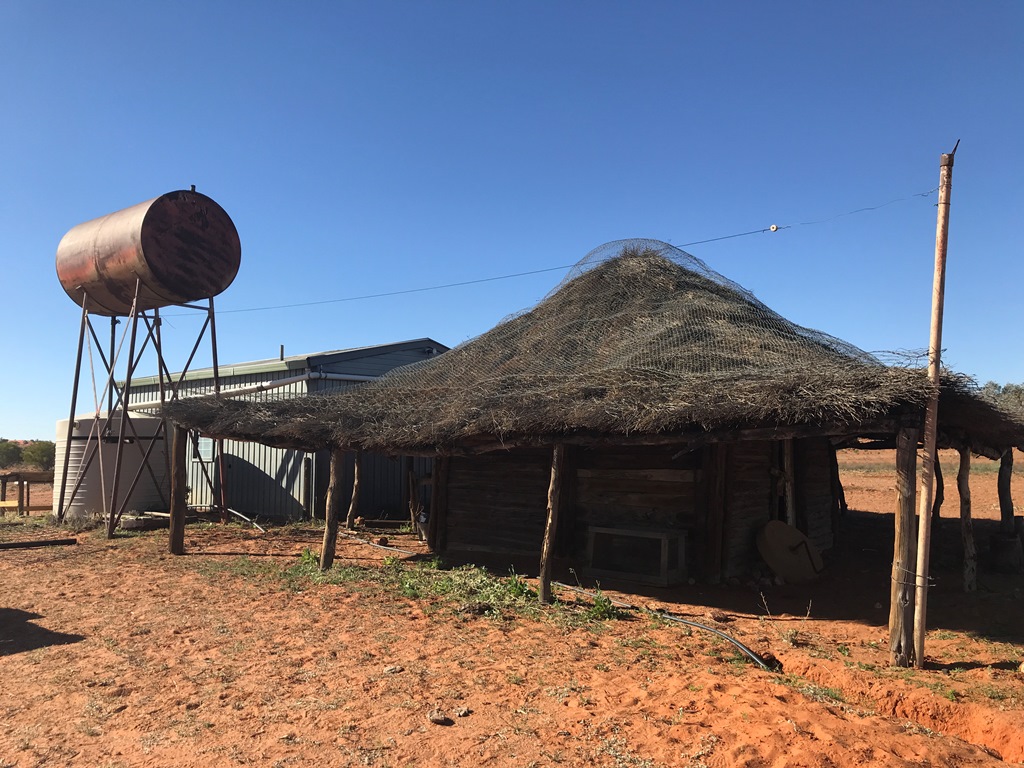 2019-Madigan-Line-Simpson-Desert-TRIP-1067.jpg