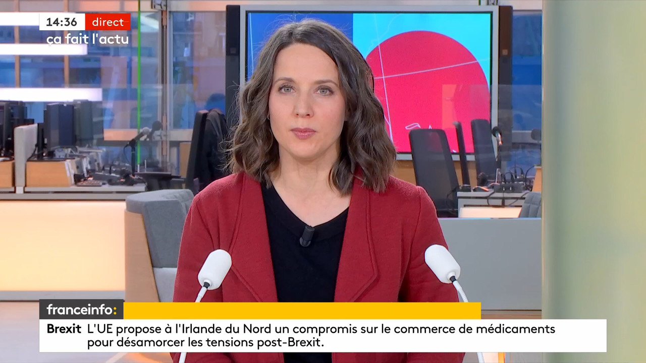 12.17 - 12.59.00 - Le fil info 14h-17h. Au sommaire   Vrai ou fake. -....ts_snapshot_40.07.487