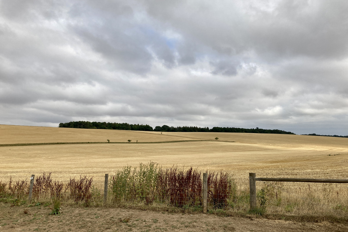 5AA794CA-6128-4104-A08C-27F49CE7B333