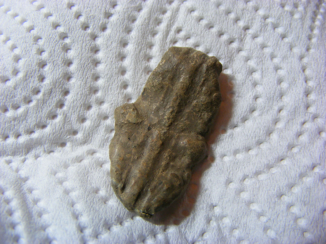 DSCF6656