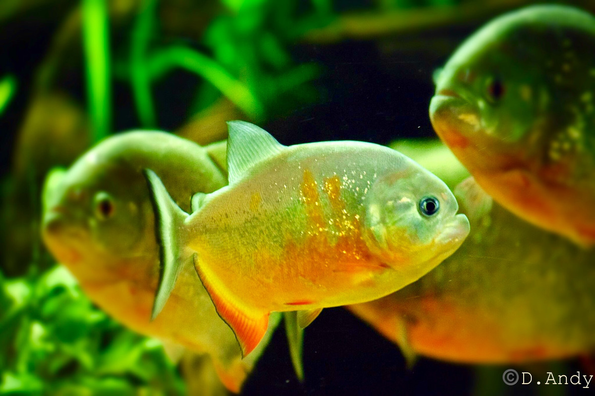 C249AEFC-588C-4A5A-AD02-D46C945C7585