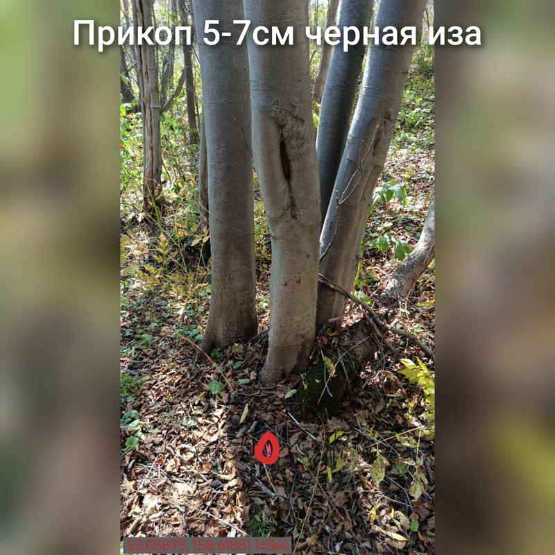 GridArt_20301004_094210457