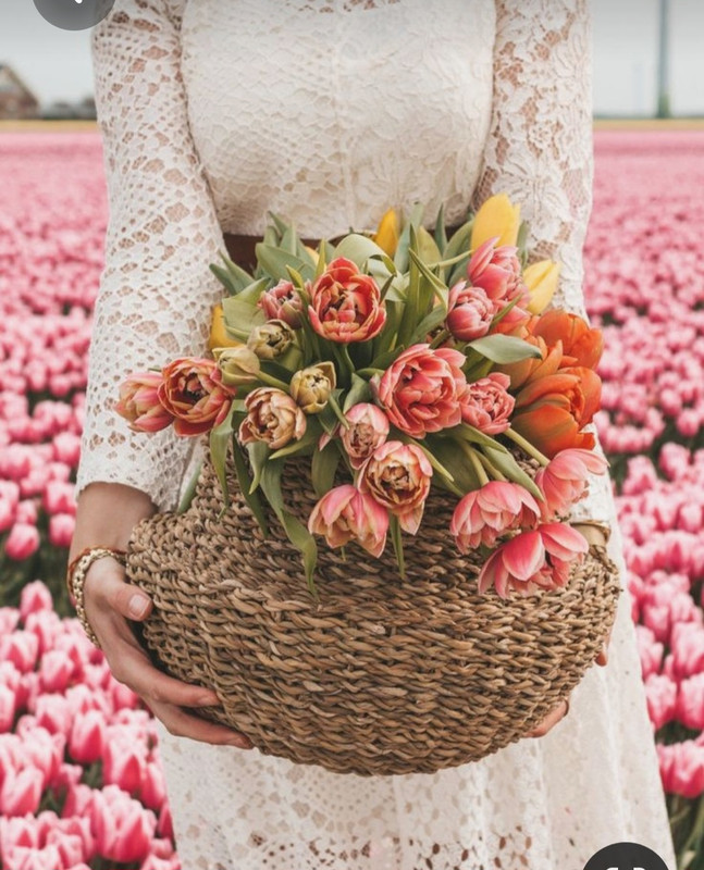 Screenshot_20230321_234121_Pinterest